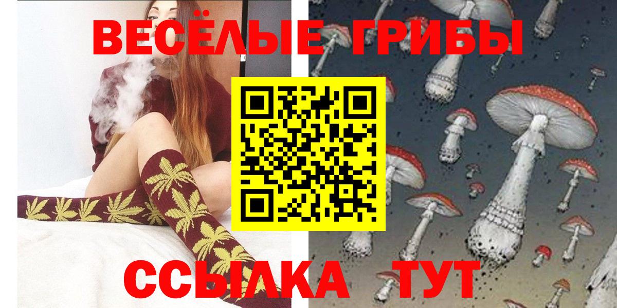 Галлюциногенные грибы Cubensis  Вход с VPN  Галлюциногенные грибы MAGIC MUSHROOMS  Назарово 